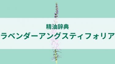 ラベンダーアングスティフォリア精油の効果効能