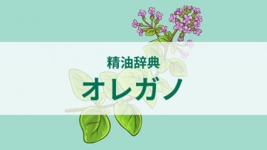 精油1滴は何ml いくら 1瓶は何滴入ってる 価格一覧リスト Susanblog